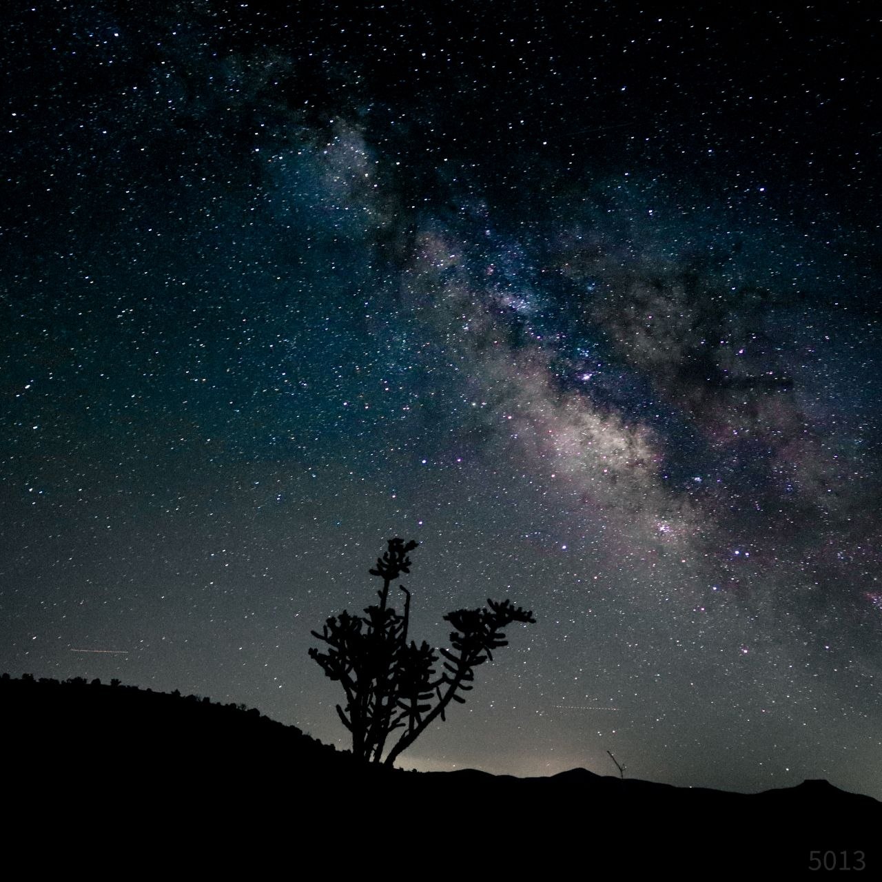 Milky Way rising over a lone tree silhouette